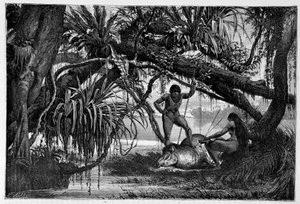 Tapir, getötet von Indianern Brasiliens - in „Rund um die Welt“ 2. Semester 1874 von Unknown artist