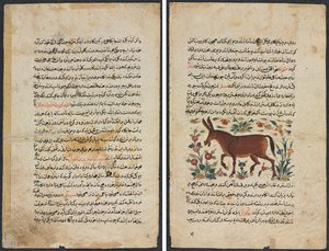 Textseite, persische Prosa (Recto); Khar (Esel) (Verso)
