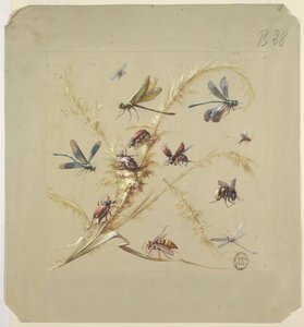 Textil- oder Tapetendesign: Insekten von Unknown artist
