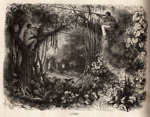 Die Yahua-Indianer von Peru lauern auf Wild, sitzen auf Ästen und bewaffnet mit Blasrohren mit vergifteten Pfeilen. Gravur zur Illustration der Reise vom Pazifischen Ozean zum Atlantischen Ozean durch Südamerika in den Jahren 1848-1860 von Paul M von Unknown artist