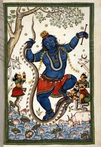 Die Gottheit der brahmanischen Triade Vishnu. Seite aus dem Manuskript (ms. 8300) "Geschichte von Mogol" von Stefano Nivibus Cardeira. 18. Jahrhundert. Biblioteca Marciana, Venedig von Unknown artist