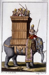 Der Elefant, den die Karthager als Arbeits- und Kriegstier nutzten. Gravur in der „Enciclopedia universale illustrata“
