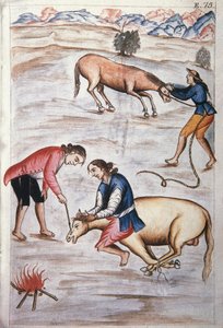 Das rote Eisenbrandzeichen einer Stute, aus dem Buch "Trujillo del Peru" oder "Códice Martínez Compañón", von Baltazar Martinez Compañón y Bujanda, Bischof von Trujillo (1782-1785) von Unknown artist
