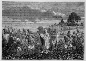 Die entwurzelten Reben in Gallien, auf Befehl von Kaiser Domitian - in Die Wunder der Industrie von Louis Figuier, Paris von Unknown artist