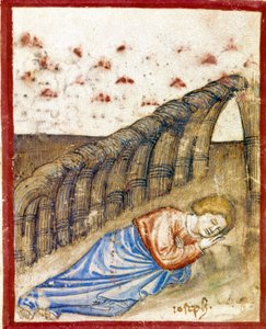 Die Vision von Joseph, Sohn von Jakob Miniatur aus Codex 212 (oder Padovano Codice oder Bibel von Padua) 1390-1400 Rovigo, Accademia dei Concordi von Unknown artist