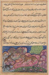 Der Wolf rät dem Löwen, die Katze zu konsultieren, aus einem Tuti-nama (Geschichten eines Papageis): Fünfzehnte Nacht von Unknown artist