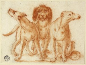 Drei Hunde von Unknown artist