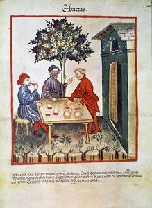 Behandlung der Trunkenheit. Seite aus dem Tacuinum sanitatis (um 1400) von Unknown artist