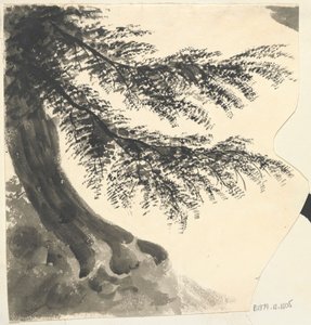 Baum von Unknown artist