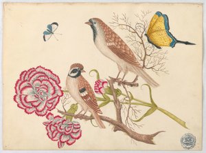 Zwei braune Vögel mit Nelken und Schmetterlingen