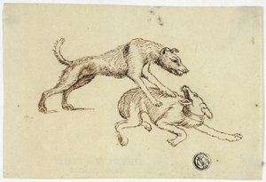 Zwei Hunde kämpfen