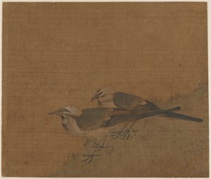 Zwei Bachstelzen von Unknown artist