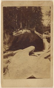 [Unidentifizierte Waldansicht mit Felsen und Höhle]