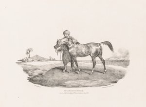 Verschiedene Motive aus dem Leben und auf Stein: Ein arabisches Pferd von Unknown artist