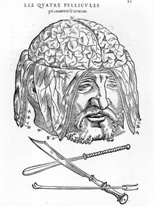 Walter Hermann Ryff: Anatomische Beschreibung aller Teile des menschlichen Körpers: Das Gehirn. Paris 1545 von Unknown artist