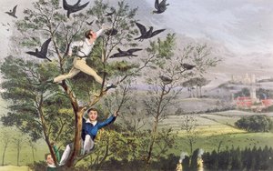 Who-Whoop! Ich habe es geschafft - Überfall auf die Krähenkolonie aus Nimrods "Das Leben eines Sportlers" von Unknown artist