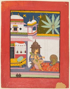 Frau spricht zu einem Pfau: Gujari Ragini von Megh, aus einem Ragamala von Unknown artist
