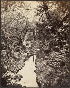 Waldlandschaft mit Bach
