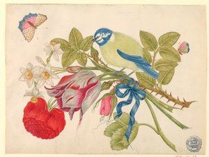 Gelb-blauer Vogel auf Strauß mit Rose, Tulpen und Narzissen, mit Schmetterlingen