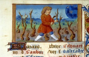 Zodiac Widder und Baumschnitt - Miniatur des Mittelalters (ref. 137, 047r) - Genehmigung der Stadtbibliothek Toulouse erforderlich (tel: 05 62 27 66 66)
