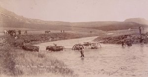 Kanon überquert einen Fluss während des Burenkriegs von Unknown photographer