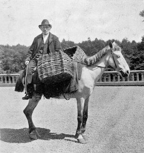 Ire auf seinem Pferd (19. Jahrhundert) von Unknown photographer