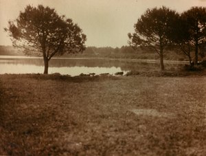 Landschaft auf den Brijuni-Inseln