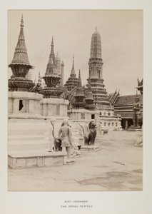 Fotografie im Fotoalbum von Unknown photographer