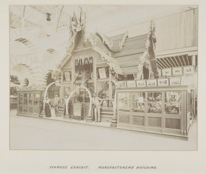 Fotografie im Fotoalbum