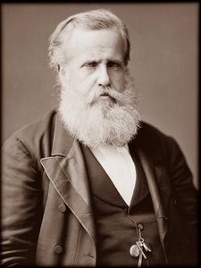 Porträt von Dom Pedro II (Peter II) (Dom Pedro de Alcantara) (1825-1891), Kaiser von Brasilien von Unknown photographer