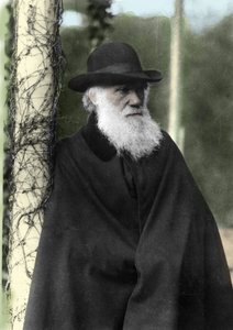Porträtfotografie von Charles Darwin (1809 - 1882), englischer Naturforscher im Jahr 1881. von Unknown photographer