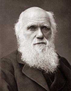 Der englische Naturforscher Charles Robert Darwin (1809-1882)