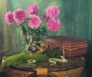 Rosa Pfingstrosen und Andenken