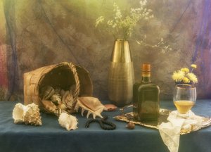 Vintage Muschel Stillleben von UstinaGreen