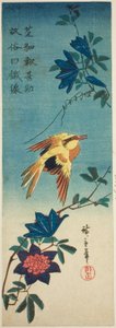 (Faksimile?) Schwarznackenpirol und Clematis von Utagawa Hiroshige