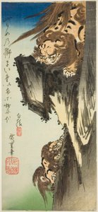 Ein Löwe trainiert ein Junges von Utagawa Hiroshige