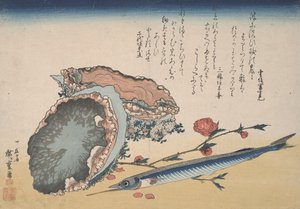 Abalone, Halbschnabel und Pfirsichblüte