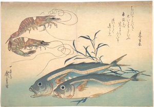 Aji-Fisch und Kuruma-Ebi, aus der Serie Uozukushi von Utagawa Hiroshige