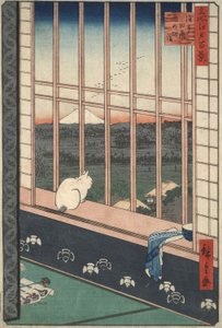 Asakusa-Reisfelder während des Hahnenfestes aus der Serie Einhundert berühmte Ansichten von Edo von Utagawa Hiroshige