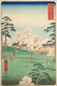 Asuka-Hügel in der östlichen Hauptstadt (Toto Asukayama), aus der Serie "Sechsunddreißig Ansichten des Berges Fuji (Fuji sanjurokkei)" von Utagawa Hiroshige
