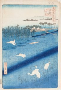 Weiße Reiher am Fluss Sakasai, Tafel 58 aus der Serie: Hundert berühmte Ansichten von Edo