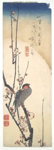 Vogel und Pflaumenbaum