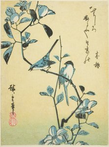 Vögel auf einem Kamelienzweig von Utagawa Hiroshige