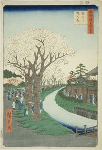 Blüten am Damm des Tama-Flusses (Tamagawa-zutsumi no hana), aus der Serie Einhundert berühmte Ansichten von Edo (Meisho Edo hyakkei) von Utagawa Hiroshige
