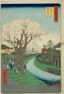 Blüten am Ufer des Tama-Flusses, aus der Serie "Hundert berühmte Ansichten von Edo" von Utagawa Hiroshige