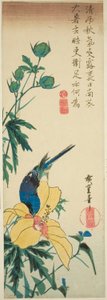 Blauer Vogel und Hibiskus von Utagawa Hiroshige