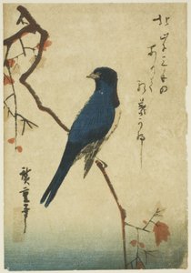 Blauer Vogel auf einem Ahornzweig von Utagawa Hiroshige