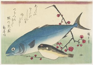 Bonito, Kugelfisch und ein Zweig blühender Pflaume, um 1840 von Utagawa Hiroshige