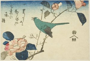 Buschsänger und Kamelie von Utagawa Hiroshige