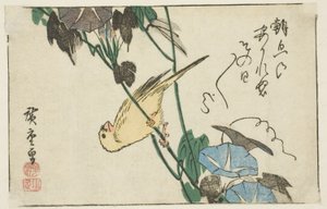 Kanarienvogel und Morgenröte von Utagawa Hiroshige